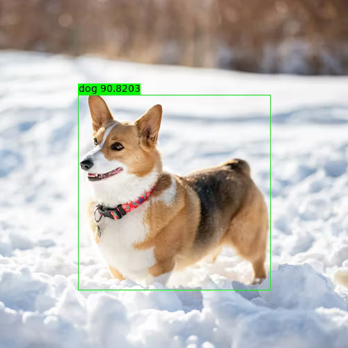 A corgi with a bounding box around it
