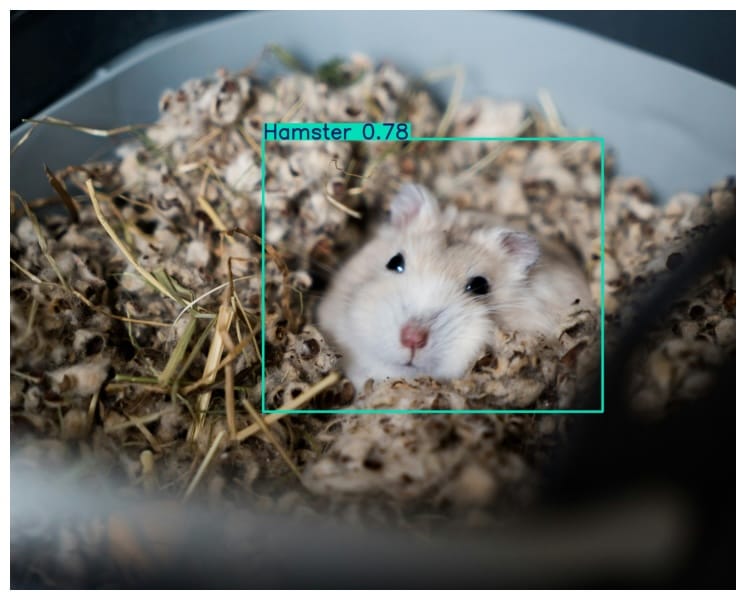A hamster detected on the image